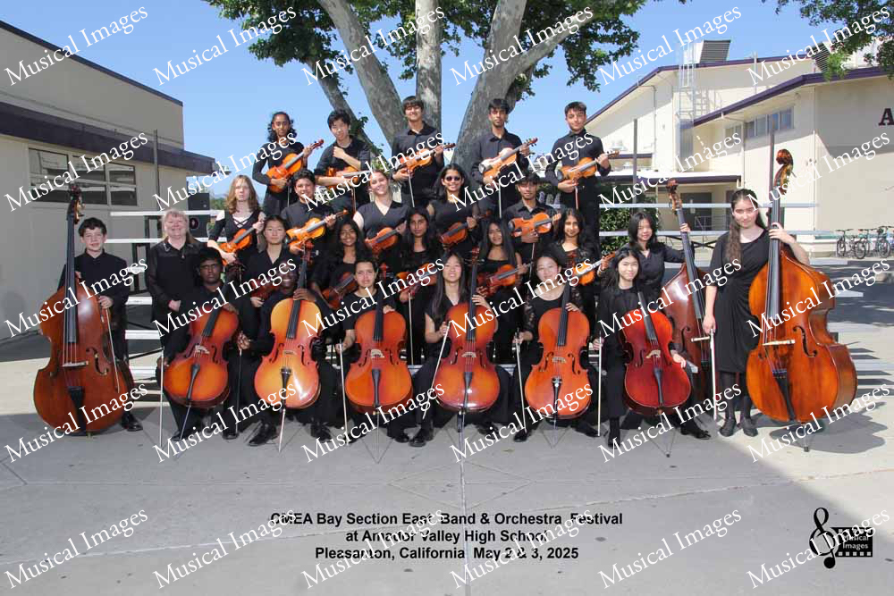 Musical Images